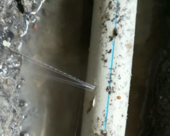青浦卫生间测漏水多少钱